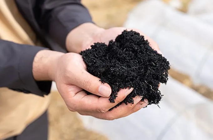 高機能バイオ炭