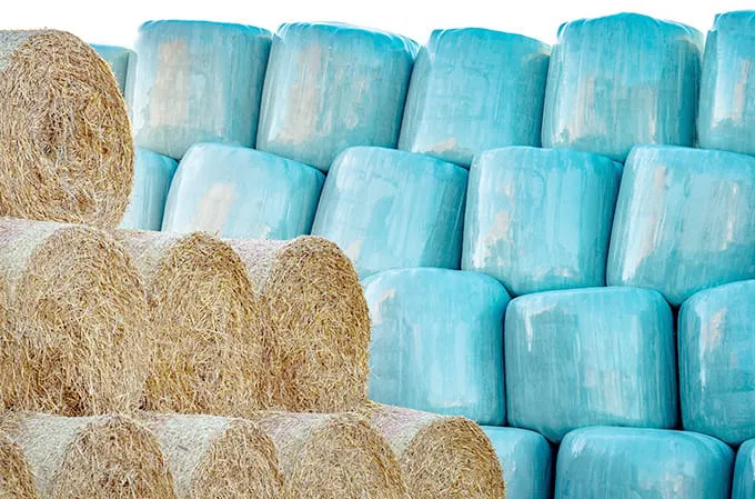 サイレージフィルム